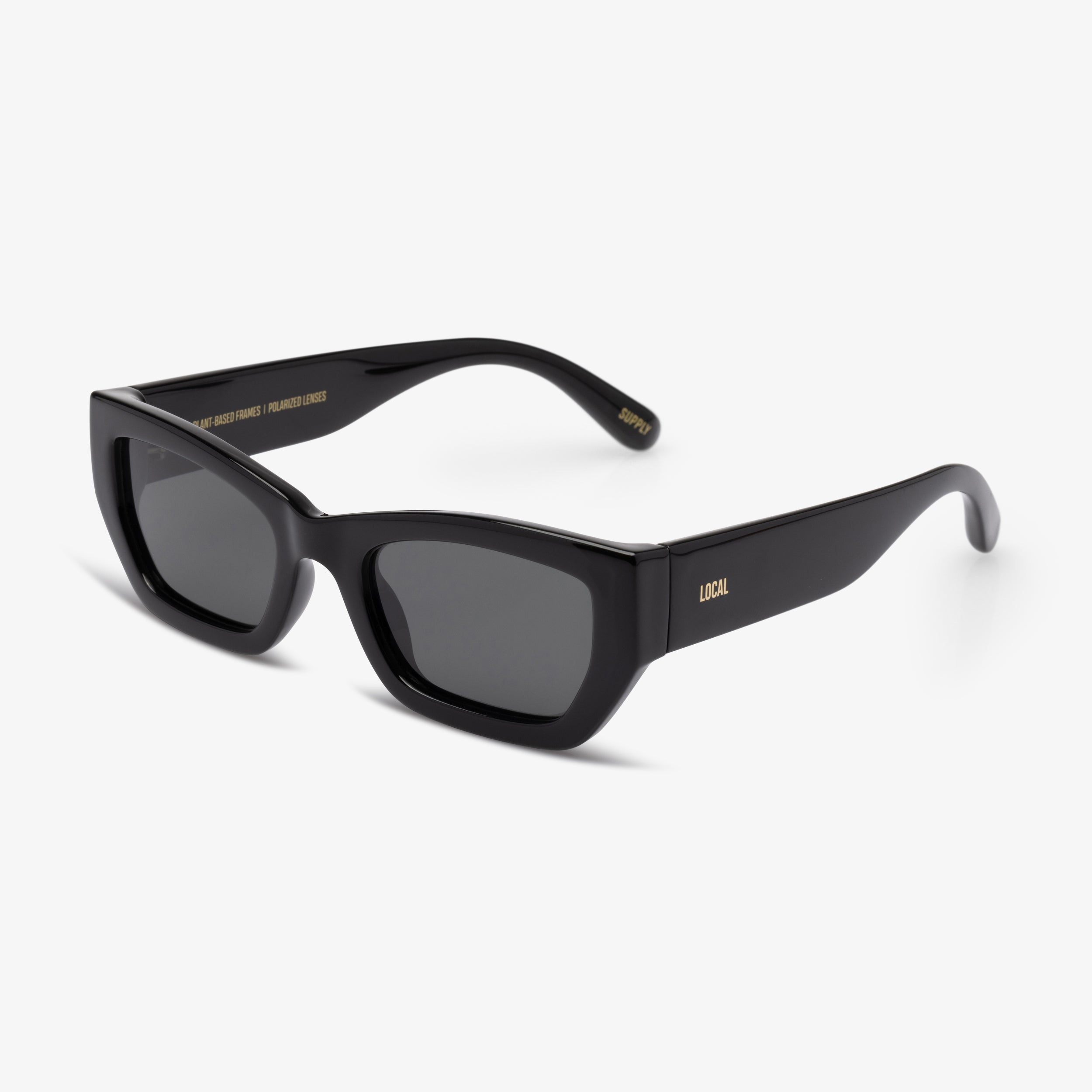 BLACK - POLARIZED LENS